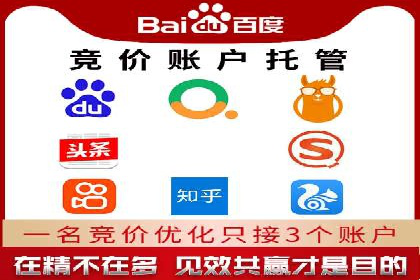 顶尖SEM竞价代运营公司案例分析